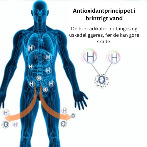 AquaGen™ | Bæredygtigt, billigt, sundt og sprudlende vand!