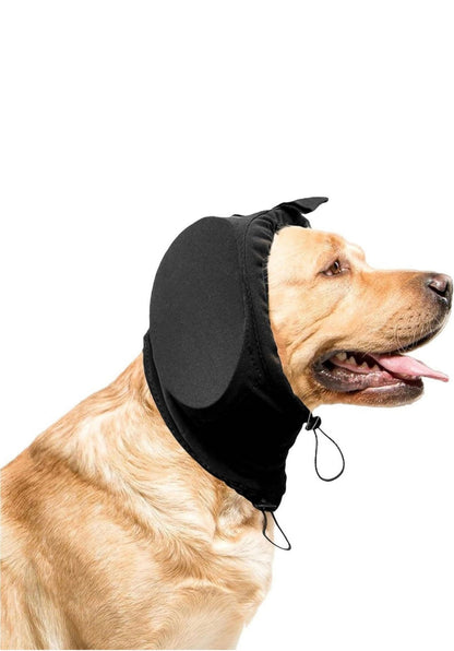 EarGuard™ | Beskytter hunde mod høje lyde