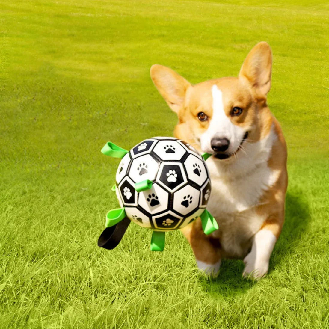 HundeGlæde™ | Ikke flere ødelagte bolde!